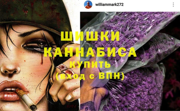 spice Рославль