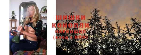 spice Рославль