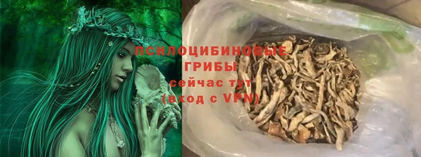 spice Рославль